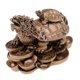 thumbnail image 3 of Resina Dragón Tortuga Tortuga Estatua Estatuilla Riqueza Adornos De Escritorio Bronce, 3 of 5