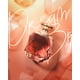 thumbnail image 3 of Perfume Rue Broca Touche Eau de Parfum para mujer, 100 ml, 3 of 6