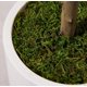 thumbnail image 4 of Árbol Artificial de Olivo LOMANTO 152 cm con Maceta Blanca, 4 of 7