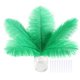 thumbnail image 1 of Plumas de avestruz verdes SOGUGOM 30 uds 20-25 cm, 1 of 6