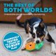 thumbnail image 3 of Juguete para perro Outward Hound 25 cm color zanahoria, peluche chirriante, 3 of 7