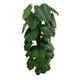 thumbnail image 2 of Planta Artificial Decorativa De 160 Cm Con Macetero, 2 of 5