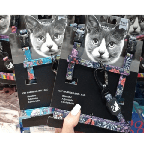 Genérico - Arnes Para Gatos 1Cm X 120Cm Colores Surtidos