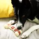 thumbnail image 5 of Juguete masticable para perros Tikaton Hammerbone, duradero para masticadores agresivos, 5 of 7