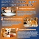 thumbnail image 5 of Spray de entrenamiento para el baño de perros PLUS CABLE 150 ml, 5 of 9