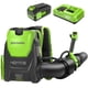 thumbnail image 1 of Soplador de hojas Greenworks 40V sin escobillas tipo mochila 660 CFM, 1 of 8