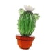 thumbnail image 1 of Figura De Cactus, Adorno De Escritorio, Estatua De Cactus Para Patio, Hogar, Oficina, Exterior, Estilo B, 1 of 3