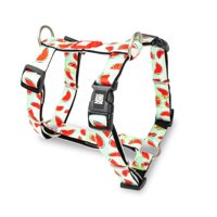 Max & Molly - Arnés Perro H Watermelon