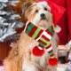 thumbnail image 3 of 2 piezas Navidad rayas de punto bufanda perro cuello de invierno perro más cálido traje Navidad vacaciones mascota Bandana gato cachorro bufanda accesorios, 3 of 3