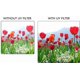 thumbnail image 4 of Kit de 3 filtros de lente Xit 72 mm UV CPL FLD, 4 of 6