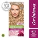 thumbnail image 1 of Coloración Cor Intensa Garnier Cabello 9.13 Rubio muy Claro Ceniza Dorado, 1 of 1