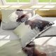 thumbnail image 4 of Invad-e on Tita-n Eren Levy-i Anime Soft-t 3D Printe -- d Duvet Co-ver Bedding- Set with -Co-mfort-er Cover, 4 of 5
