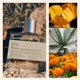 thumbnail image 3 of Perfume Memoire Archives Destination Unknown Eau de Parfum, 100 ml, 3 of 3