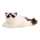thumbnail image 3 of Animal De Peluche Modelo De Gato De Peluche Acurrucado Para Regalo De Amigo Antes De Dormir Para Recuerdo De Fiesta, 3 of 5