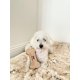 thumbnail image 5 of Juguete de Hueso de Cuero Natural Tall Tails para Perros Pequeños – 15 cm, 5 of 6