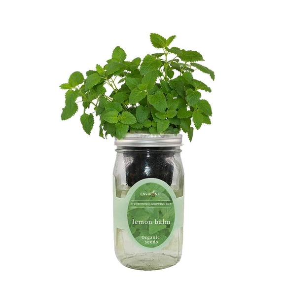 Kit de cultivo de hierbas Environet toronjil con riego automático