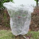 thumbnail image 4 of Cubierta para plantas Ruolan, malla para jardín 3 piezas, 98 x 150 cm, 4 of 7