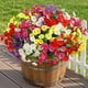 thumbnail image 5 of Flores Artificiales 24 Ramos De Seda Resistentes A Los Rayos Uv, 5 of 9