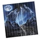 thumbnail image 4 of Juego De 2 Paneles De Decoración De Animales Para Adolescentes, Cortinas De Ventana Con Estampado 3D, Lobo, 4 of 5