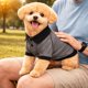thumbnail image 5 of Playera para Perro Pet Life Active Fur-Flexed Relax-Stretch Polo, 5 of 9