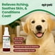 thumbnail image 2 of Spray para hot spots y picazón para perros Epi-Pet Veterinary 120 ml (x2), 2 of 9