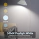 thumbnail image 3 of Ampolleta LED Dalattin A19 9W 5000K E26 800 lm Pack 12, 3 of 3