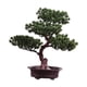 thumbnail image 4 of Planta De Maceta De árbol De Bienvenida Artificial Bonsai Versátil Para Hall Vestibule Style C, 4 of 5