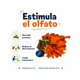 thumbnail image 4 of Bola Olfativa Zapallo Para Mascotas 20x20x20 cm, 4 of 8