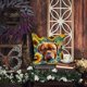 thumbnail image 5 of Cojín Sunflowers Dogue De Bordeaux, 5 of 6