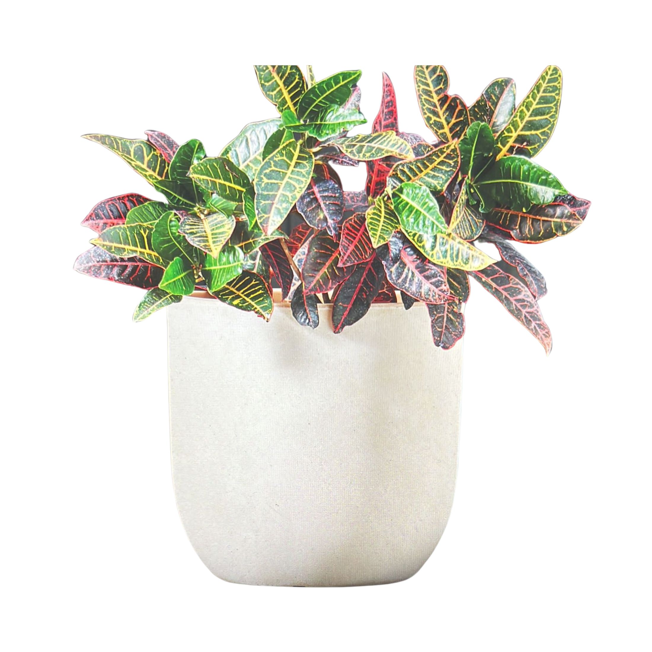 Pottery - Macetero Grande Muna - 43X45 Cm -Blanco