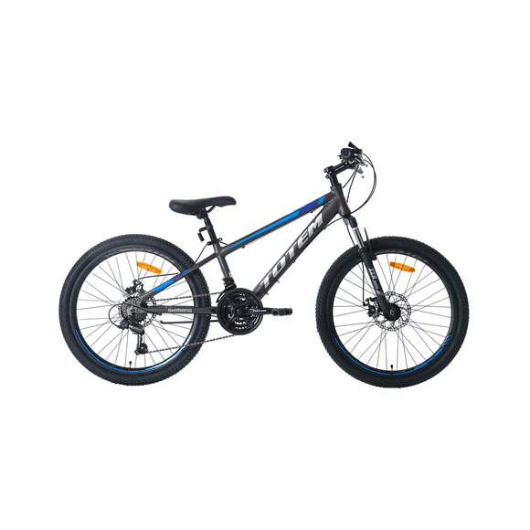 Bicicleta Totem Mtb Aro 24 Modelo Atlantis Gris