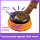 thumbnail image 3 of Talking Buttons Starter Set Hunger for Words para perros, 3 of 8