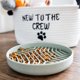 thumbnail image 3 of Cesta de Regalo para Cachorro Paws For Reaction 36 × 18 × 18 cm, 3 of 9