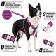 thumbnail image 2 of Correa para perro y arnés para mascota Pet Life ® Serie Outdoor 'Escapade', 2 of 6