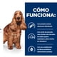 thumbnail image 4 of Alimento Hills Prescription Diet Food Sensitivities Lata 370g, 4 of 6