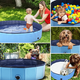 thumbnail image 3 of Piscinas Para Mascotas mediano 80X20 CM, 3 of 3