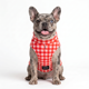 thumbnail image 1 of ABRIGO LENADOR ROJO- L, 1 of 6