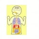 thumbnail image 3 of New Felt Learning Board, Human Body Organ Cognitive Early Education Board Busy Board Children's Early Education Puzzle Toys, 3 of 4