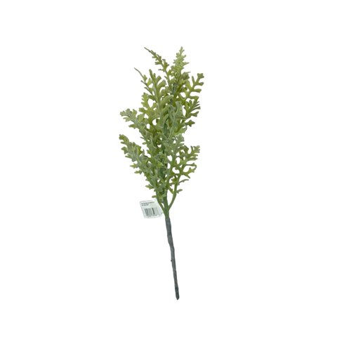 Corel - Rama Cineraria