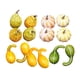 thumbnail image 1 of Calabazas Artificiales De Cosecha, Modelo Vegetal De Halloween, Colores Surtidos Duraderos, Estilo E, 1 of 5