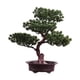 thumbnail image 2 of Planta De Maceta De árbol De Bienvenida Artificial Bonsai Versátil Para Hall Vestibule Style C, 2 of 5