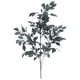 thumbnail image 1 of Rama Decorativa Eucalipto Azul 105 Cms., 1 of 4