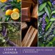 thumbnail image 2 of Wax Melts Scentsationals, aroma de cedro y lavanda, 300 ml, 2 of 7