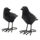 thumbnail image 1 of Estatuas De Cuervo De Resina De 2 Piezas, Simulación De Pájaro Falso Para Terraza, Patio, Lugares Escénicos, 1 of 5