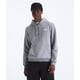 thumbnail image 2 of Sudadera con capucha The North Face Evolution Box NSE para Hombre - Gris pálido, 2 of 3