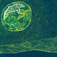 thumbnail image 1 of Superorganism, 1 of 1