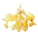 thumbnail image 3 of Figuras De Animales Marinos Modelo De Dragón Marino Manualidades Para Regalos De Cumpleaños Niños Pequeños Amarillo, 3 of 5