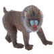 thumbnail image 1 of Figura De Acción De Juguete Modelo Macaco Oso Realista Coleccionables Decorativos Para El Hogar, 1 of 3