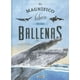 thumbnail image 1 of El magnífico libro de las ballenas, 1 of 7