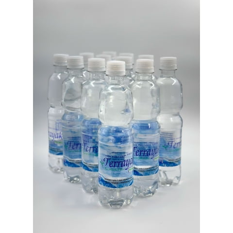 Terrayaku - Agua Purificada Pack 1X12 500Cc Sin Gas